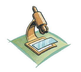 Image of a Microscope