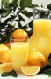 Orange Juice and Oranges