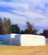 Cotton Picture