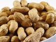 In-shell Peanuts